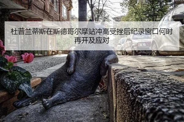 du-pu-lan-di-si-zai-si-de-ge-er-mo-zhan-chong-gao-shou-cuo-hou-ji-lu-chuang-kou-he-shi-zai-kai-ji-ying-dui-2-266.jpg