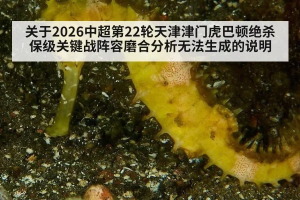 关于2026中超第22轮天津津门虎巴顿绝杀保级关键战阵容磨合分析无法生成的说明