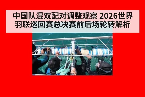 中国队混双配对调整观察 2026世界羽联巡回赛总决赛前后场轮转解析